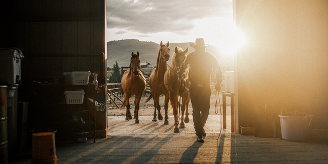 The Official Charity Partner of 2024: Heroes and Horses