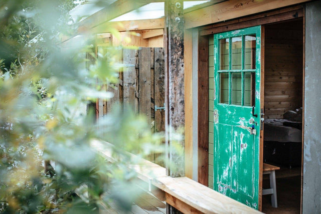 Through the lens: fforest, Wales