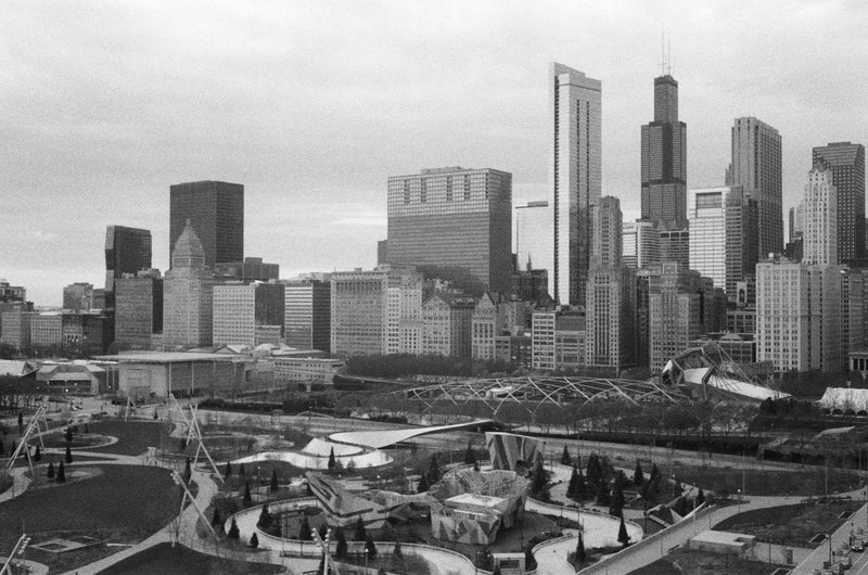 Roll The Bones: The Rabbi + The Wolf Bird