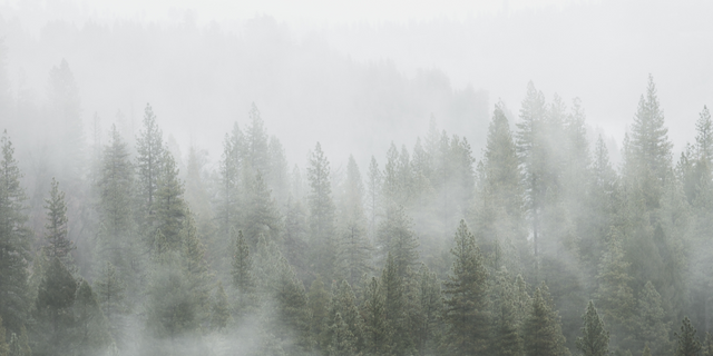 &SONS: Our Ongoing Commitment To Sustainable Fashion