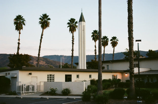 Roll The Bones: Ojai