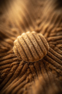 &SONS Golden Cord Baker Boy Hat