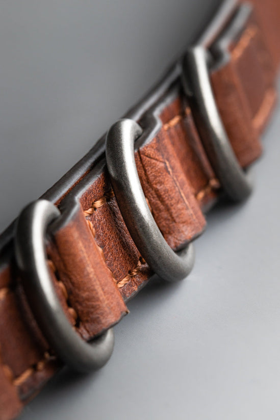 Damsons Lasso Belt Brown