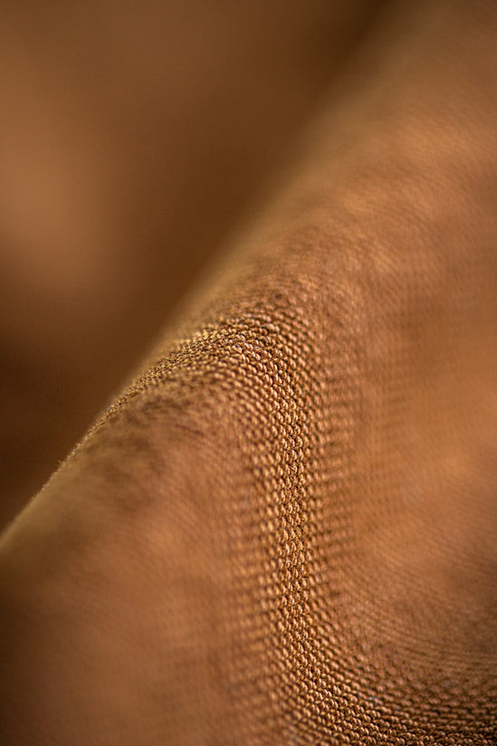 Lord Canvas Shorts Brown
