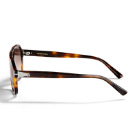 Horizon Sunglasses Tortoiseshell